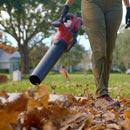 Toro 60V MAX* 110 mph Brushless Leaf Blower with 2.0Ah Battery-6